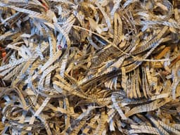 Shred Day with Shred Away, Inc.