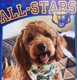 Read to a Therapy Dog
