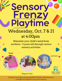 Sensory Frenzy Playtime