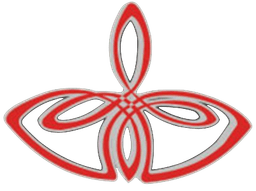 School Feis & Mini Oireachtas