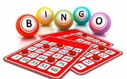 BINGO FOR ALL AGES