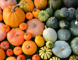 Tiny Tots: Pumpkin Palooza (Children Ages $4.00 per child upon arrival)