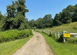 Nature Walk: For Kids!