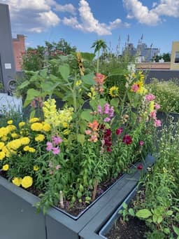 Sensory Garden Hour
