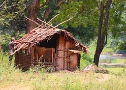 Late Fall Shelter Building