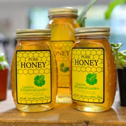 Honey Bottling Workshop with Beekeeper Helen Colhoun